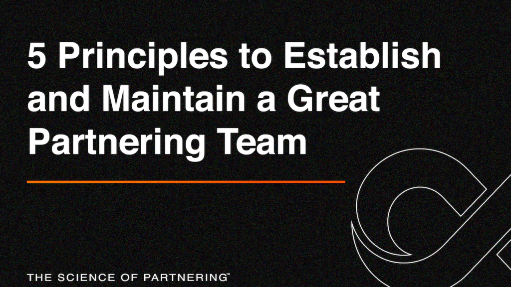 Principles to maintain partnering team